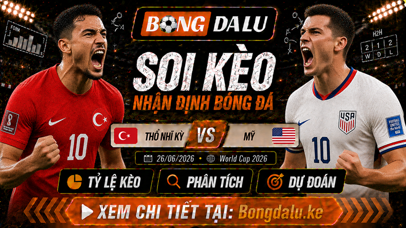 Đội hình ra sân dự kiến của Thổ Nhĩ Kỳ vs Mỹ Đội hình ra sân dự kiến của Thổ Nhĩ Kỳ vs Mỹ
